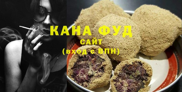 хмурый Няндома
