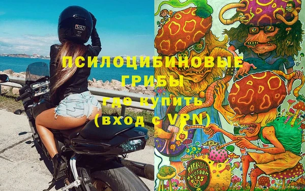 амф Абинск