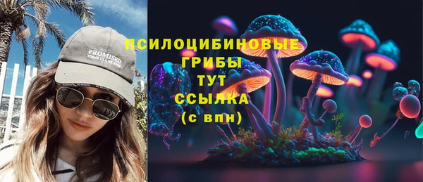 хмурый Абаза