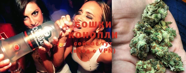 хмурый Абаза